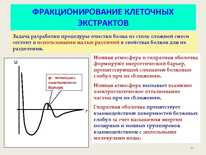 ФРАКЦИОНИРОВАНИЕ КЛЕТОЧНЫХ ЭКСТРАКТОВ Задача разработки процедуры очистки белка из столь сложной смеси состоит в