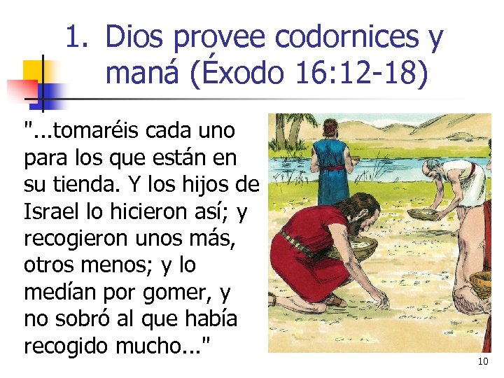 1. Dios provee codornices y maná (Éxodo 16: 12 -18) 