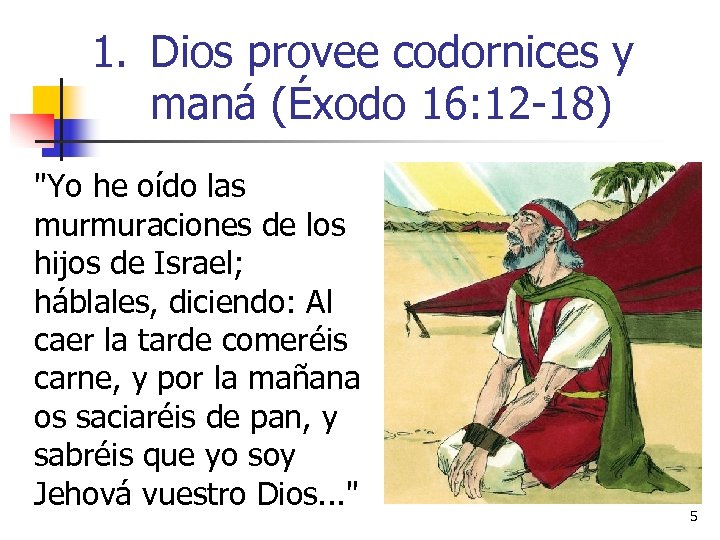 1. Dios provee codornices y maná (Éxodo 16: 12 -18) 