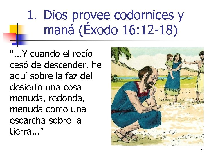 1. Dios provee codornices y maná (Éxodo 16: 12 -18) 