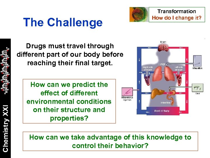 The Challenge Transformation How do I change it? Chemistry XXI Drugs must travel through