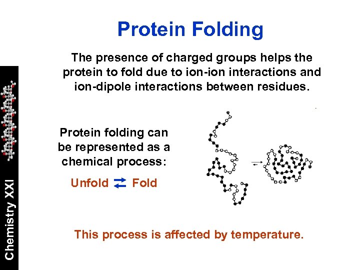 Protein Folding The presence of charged groups helps the protein to fold due to