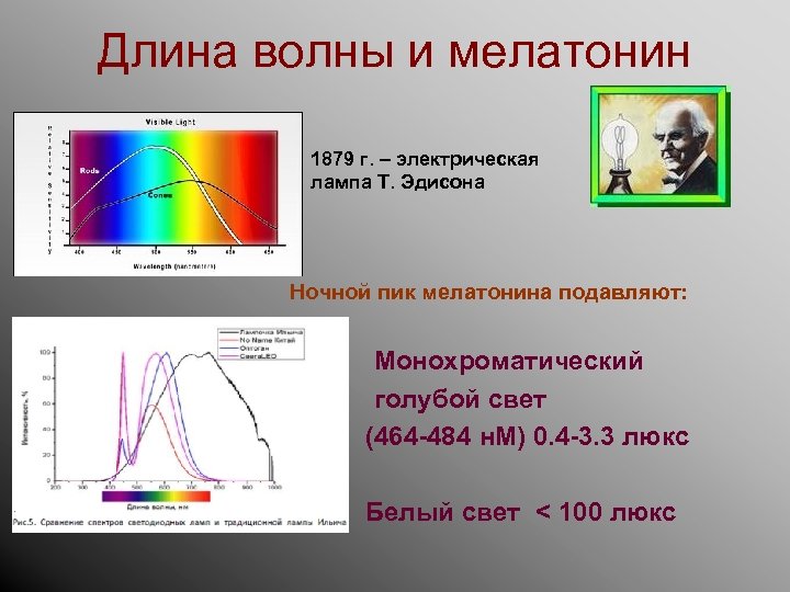 Длина волны и мелатонин 1879 г. – электрическая лампа Т. Эдисона Ночной пик мелатонина