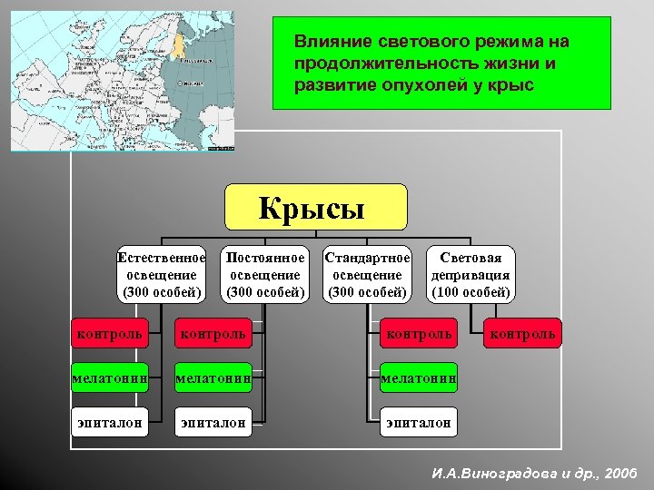 Влияние светового режима на продолжительность жизни и развитие опухолей у крыс Крысы Естественное освещение