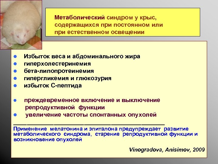 Метаболический синдром у крыс, содержащихся при постоянном или при естественном освещении l l l