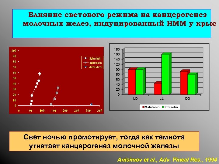 Влияние светового режима на канцерогенез молочных желез, индуцированный НММ у крыс Свет ночью промотирует,