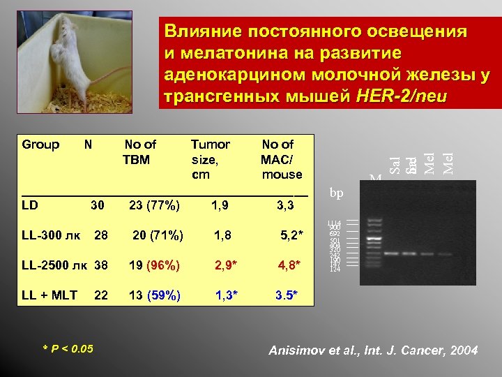 Group N Tumor No of size, MAC/ cm mouse _____________________ LD 30 23 (77%)