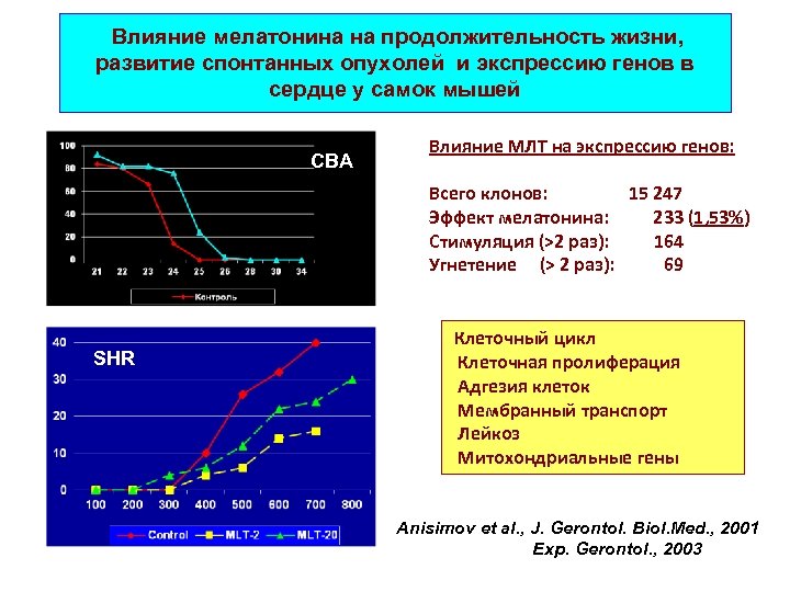 Влияние мелатонина на продолжительность жизни, развитие спонтанных опухолей и экспрессию генов в сердце у