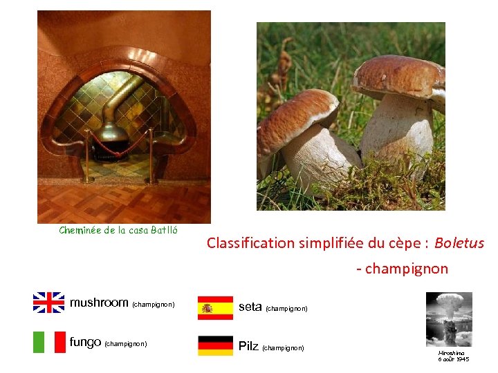 Cheminée de la casa Batlló Classification simplifiée du cèpe : Boletus - champignon mushroom