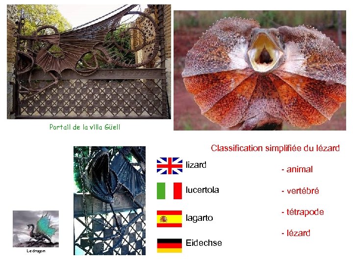 Portail de la villa Güell Classification simplifiée du lézard lizard lucertola lagarto Eidechse Le