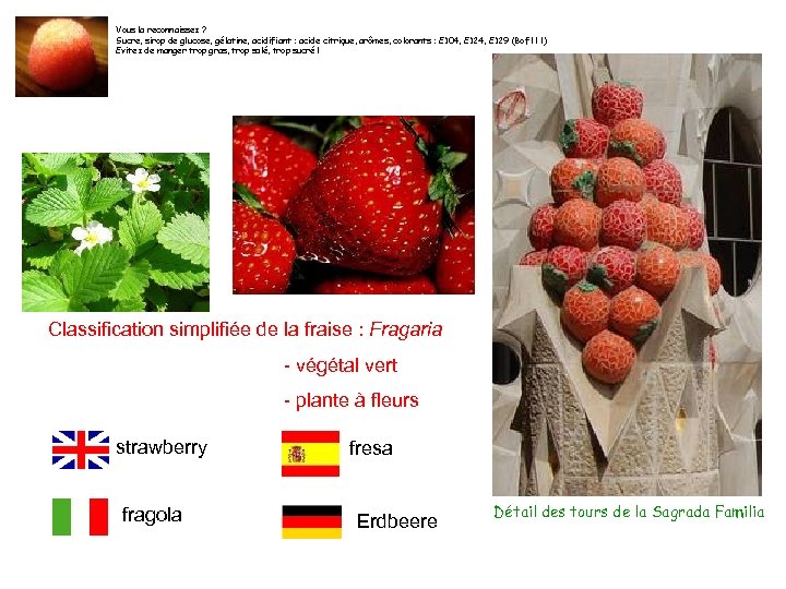 Vous la reconnaissez ? Sucre, sirop de glucose, gélatine, acidifiant : acide citrique, arômes,