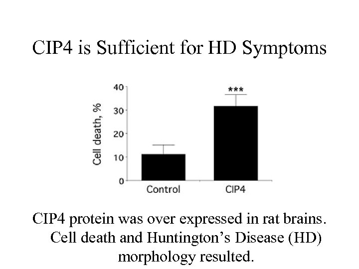 CIP 4 is Sufficient for HD Symptoms CIP 4 protein was over expressed in