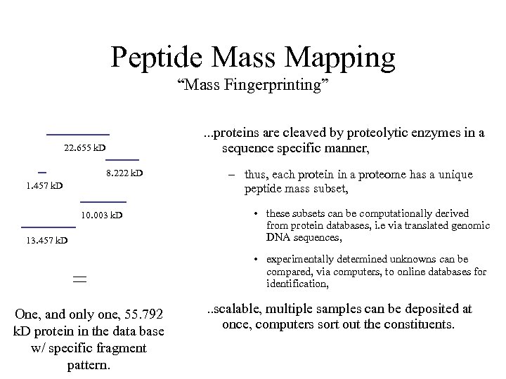 Peptide Mass Mapping “Mass Fingerprinting”. . . proteins are cleaved by proteolytic enzymes in