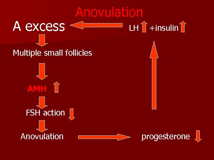 A excess Anovulation LH +insulin Multiple small follicles AMH FSH action Anovulation progesterone 