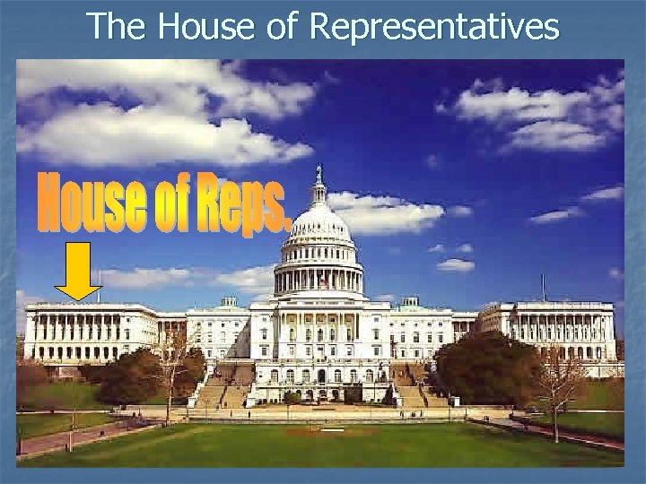The House of Representatives 