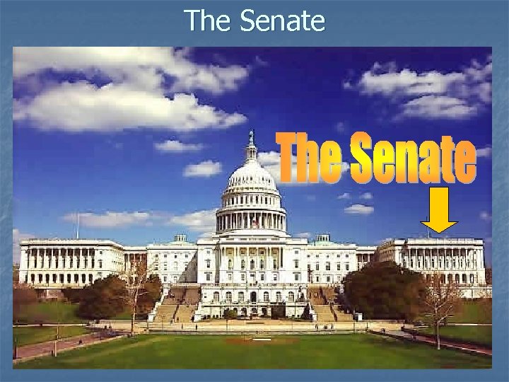The Senate 