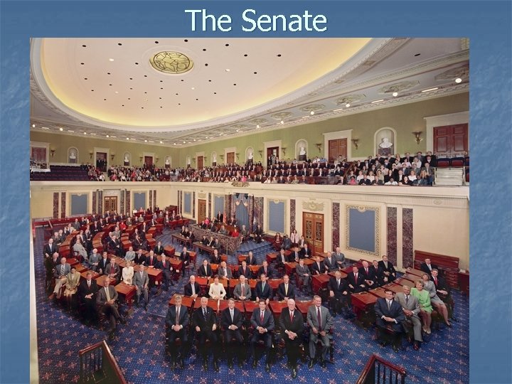 The Senate 