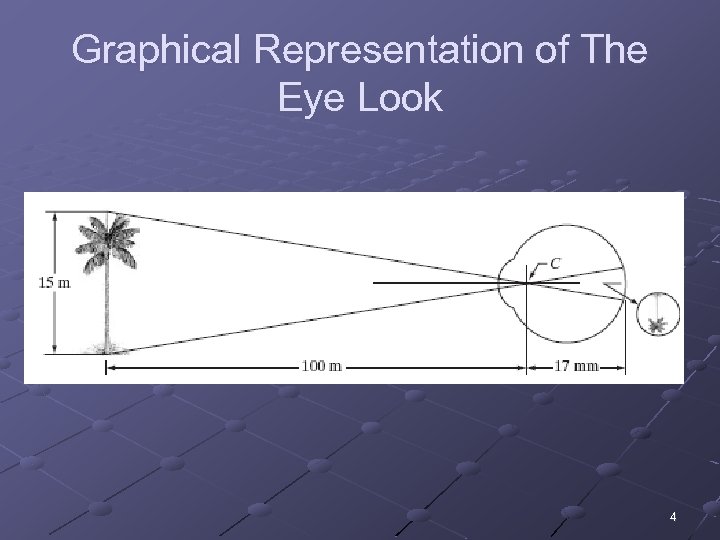 Graphical Representation of The Eye Look 4 