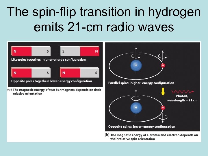 The spin-flip transition in hydrogen emits 21 -cm radio waves 