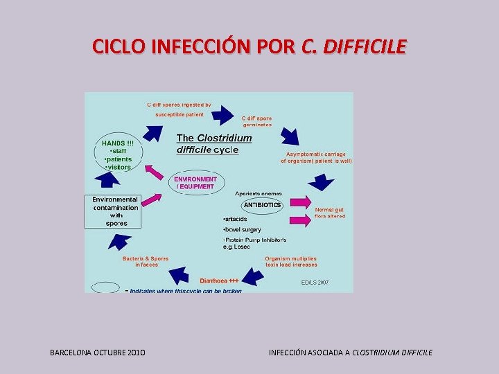 CICLO INFECCIÓN POR C. DIFFICILE BARCELONA OCTUBRE 2010 INFECCIÓN ASOCIADA A CLOSTRIDIUM DIFFICILE 