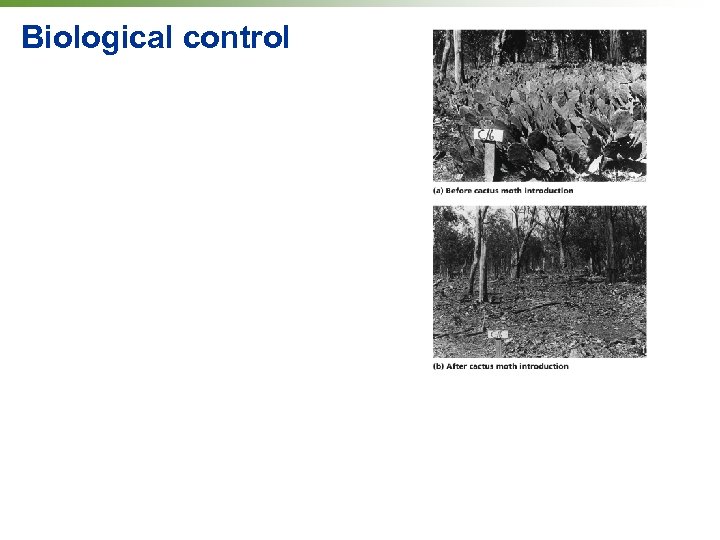 Biological control 