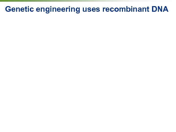 Genetic engineering uses recombinant DNA 