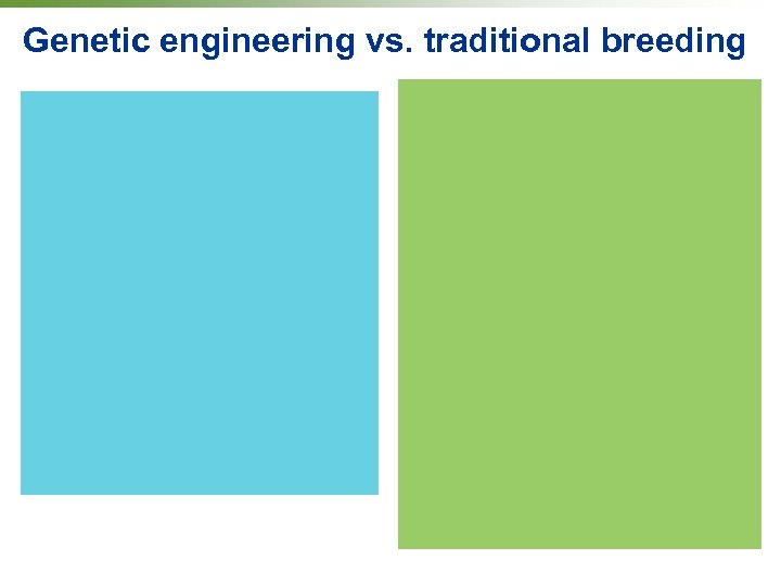 Genetic engineering vs. traditional breeding 
