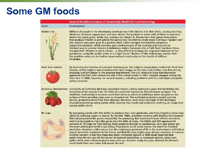 Some GM foods 