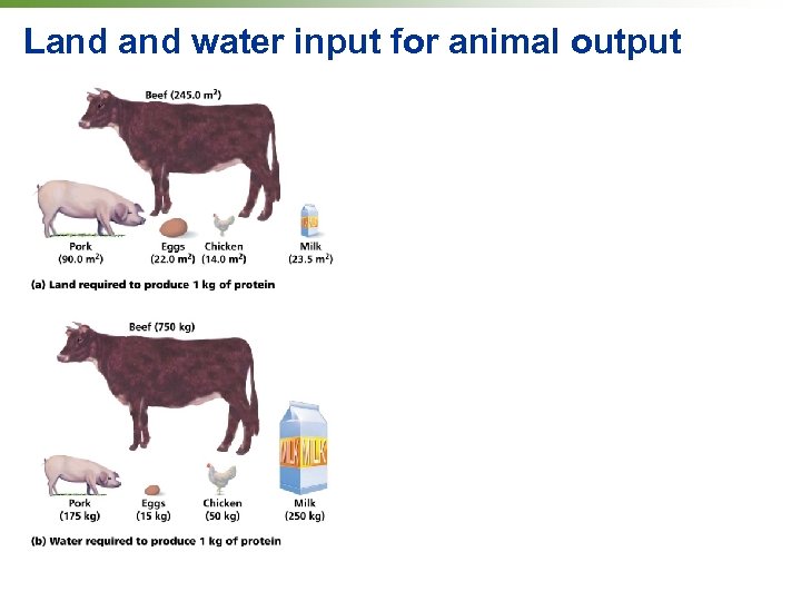 Land water input for animal output 
