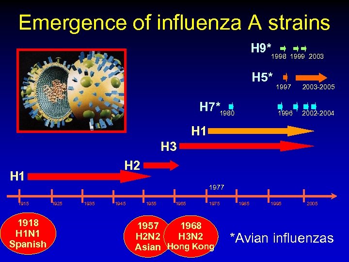 Emergence of influenza A strains H 9*1998 1999 2003 H 5* 2003 -2005 1996