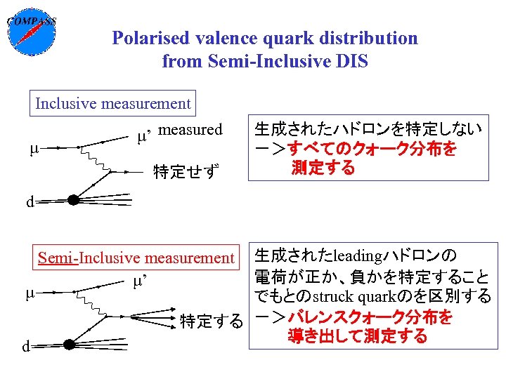 Polarised valence quark distribution from Semi-Inclusive DIS Inclusive measurement μ μ’ measured 特定せず 生成されたハドロンを特定しない