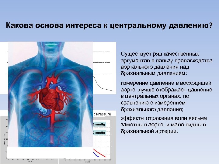 Давление в аорте. Центральное аортальное давление. Измерение центрального аортального давления. Измерение давления в аорте. Артериальное давление в аорте.