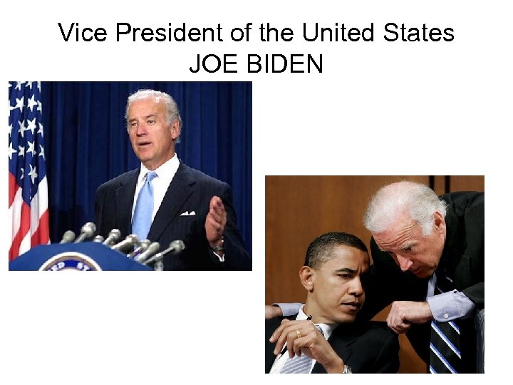 Vice President of the United States JOE BIDEN 