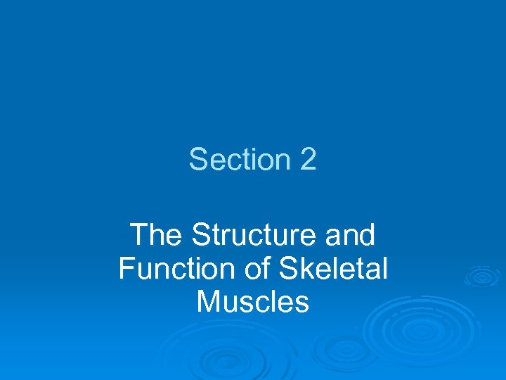 Section 2 The Structure and Function of Skeletal Muscles 