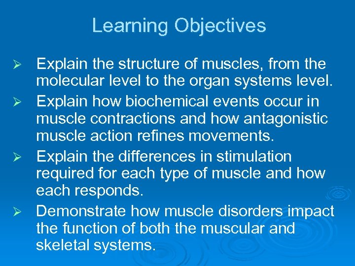 Learning Objectives Ø Ø Explain the structure of muscles, from the molecular level to