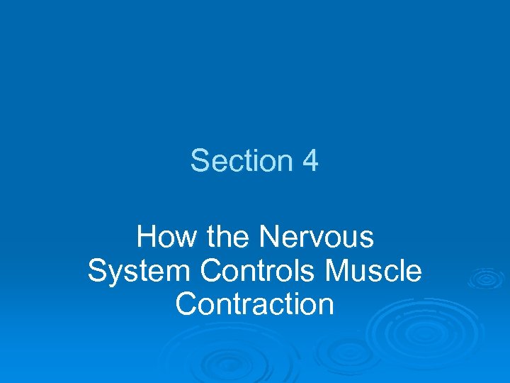 Section 4 How the Nervous System Controls Muscle Contraction 