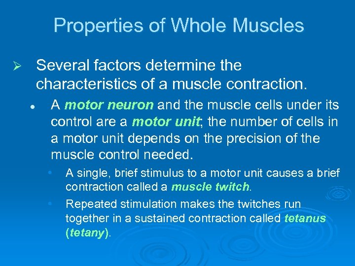 Properties of Whole Muscles Several factors determine the characteristics of a muscle contraction. Ø