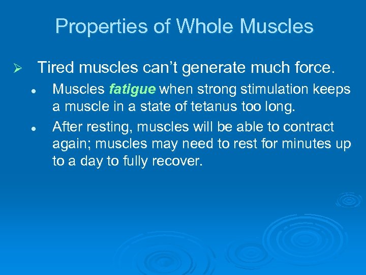 Properties of Whole Muscles Tired muscles can’t generate much force. Ø l l Muscles