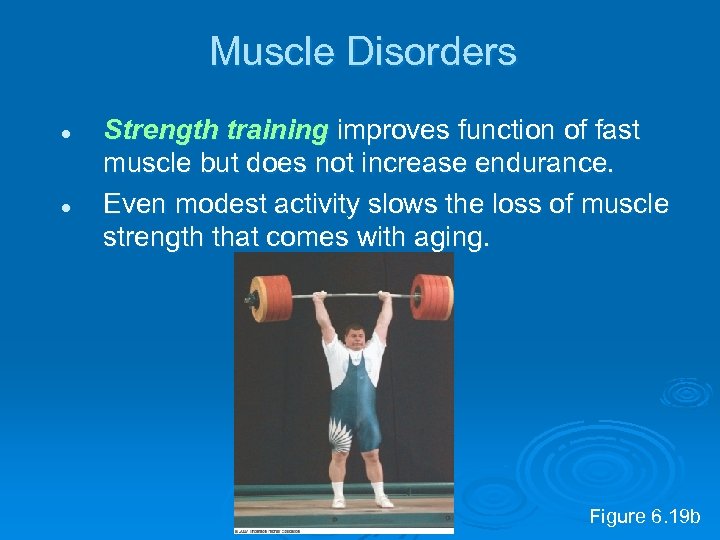 Muscle Disorders l l Strength training improves function of fast muscle but does not