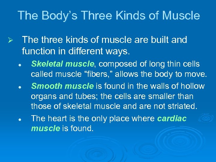 The Body’s Three Kinds of Muscle The three kinds of muscle are built and