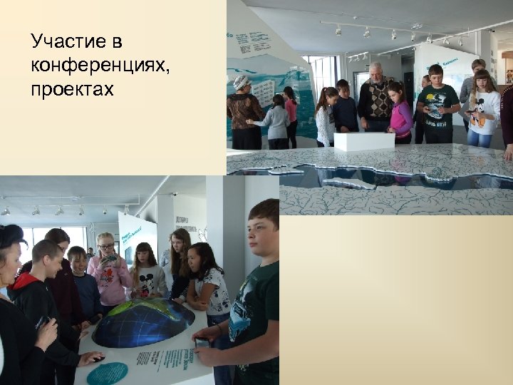 Участие в конференциях, проектах 
