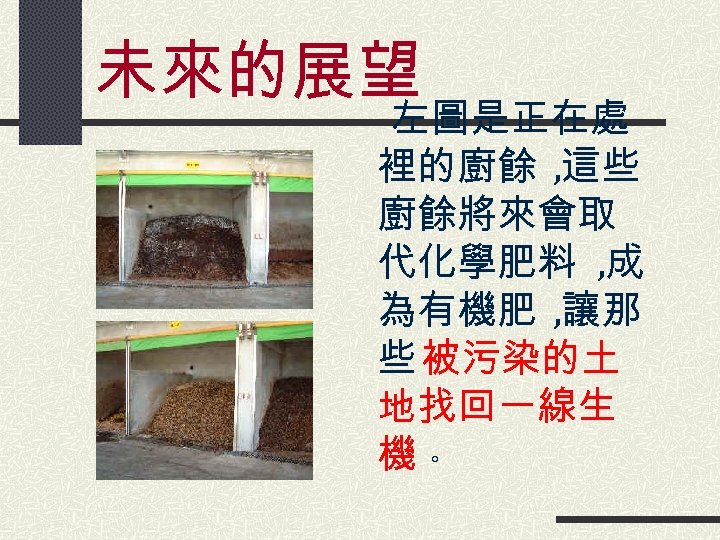 未來的展望 　左圖是正在處 裡的廚餘 , 這些 廚餘將來會取 代化學肥料 , 成 為有機肥 , 讓那 些 被污染的土