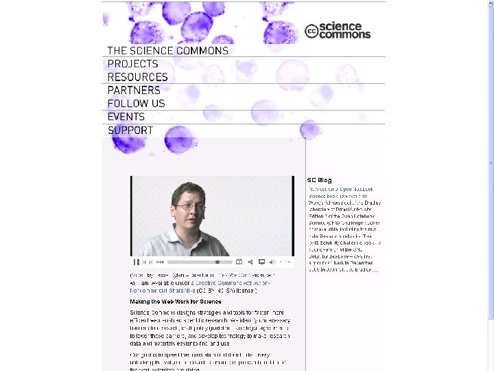 Rough Guide to Image Management CILIP, 31 March 2010 