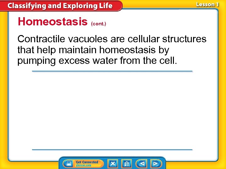 Homeostasis (cont. ) Contractile vacuoles are cellular structures that help maintain homeostasis by pumping