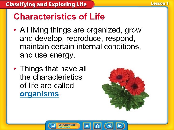 chapter-introduction-characteristics-of-life-lesson-2-classifying