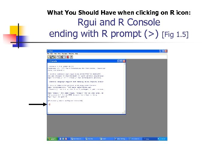 What You Should Have when clicking on R icon: Rgui and R Console ending