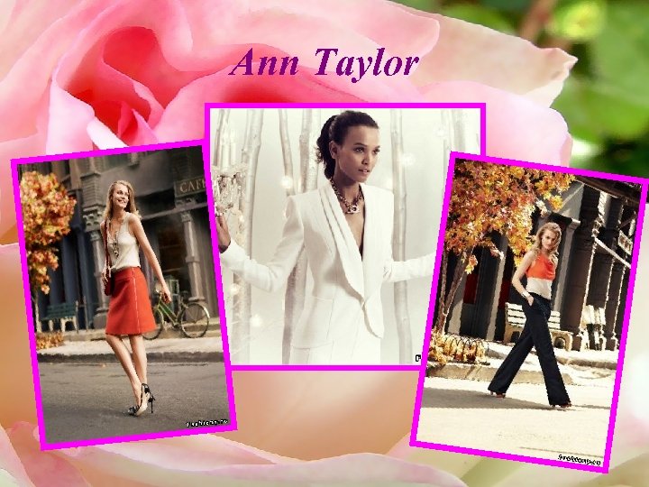 Ann Taylor 