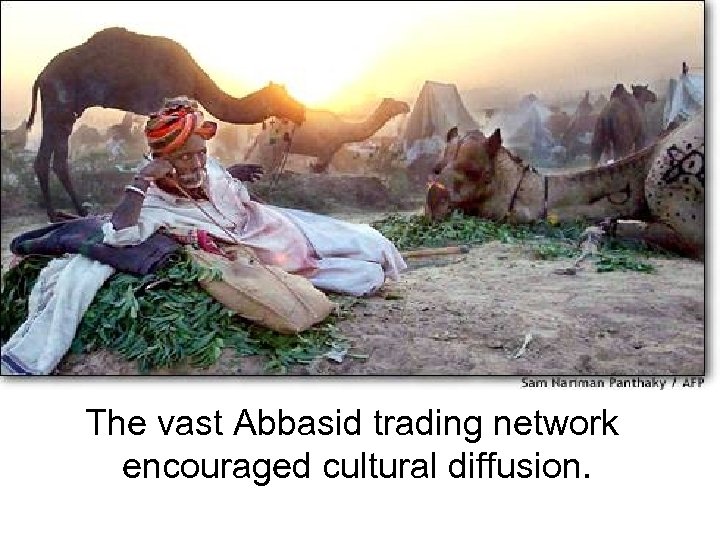 The vast Abbasid trading network encouraged cultural diffusion. 