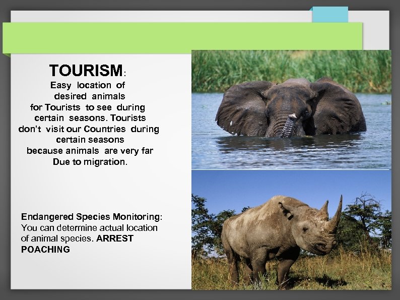 TOURISM: Easy location of desired animals for Tourists to see during certain seasons. Tourists