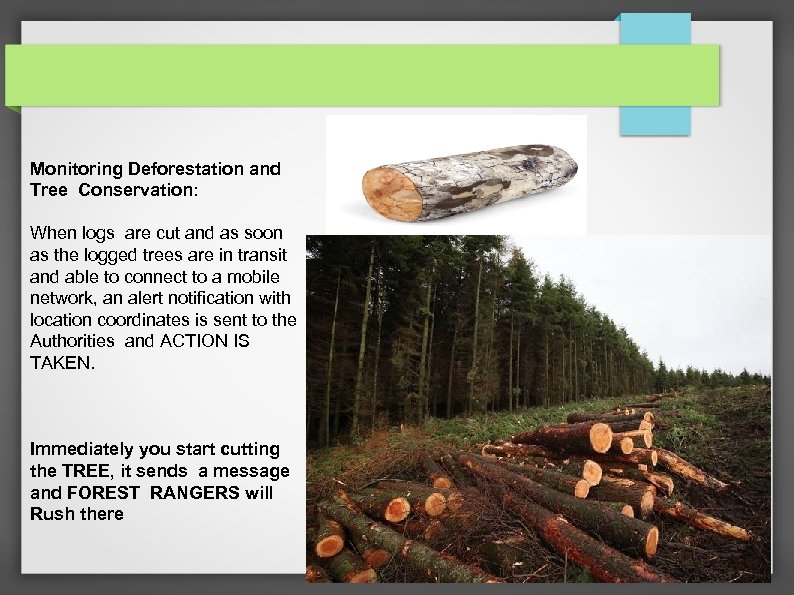 Monitoring Deforestation and Tree Conservation: When logs are cut and as soon as the